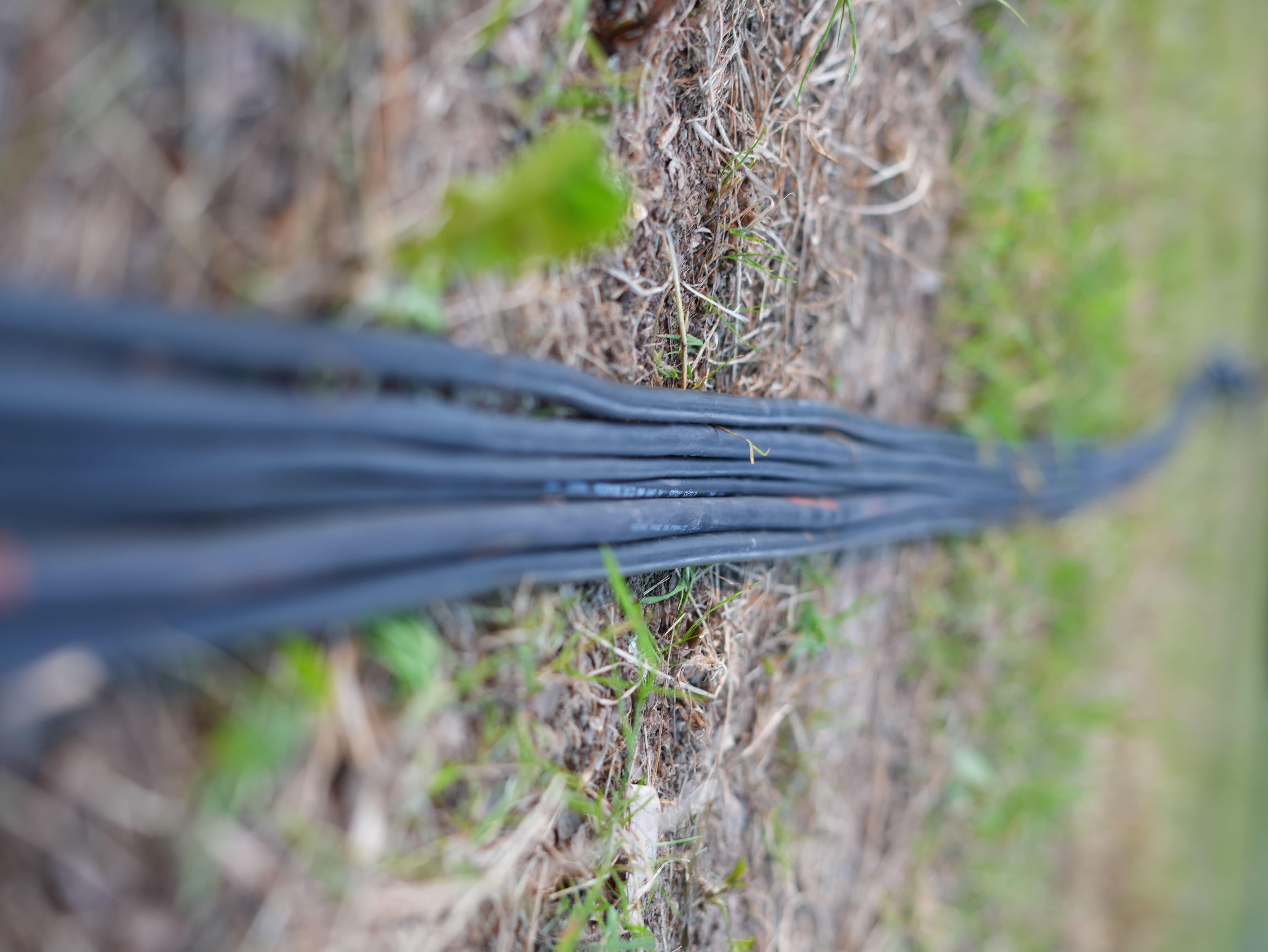 Rallonges électriques minutieusement rangées pour un événement de dégustation de champagne dans la Marne.